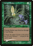 Canopy Spider [7th Edition]