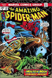 Comic book cover featuring Spider-Man and the Molten Man with Marvel Comics Group branding.