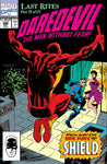 DAREDEVIL #298