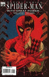 SPIDER-MAN: WITH GREAT POWER FULL RUN BUNDLE (ISSUES #1-5)