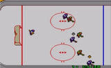 Great Ice Hockey (Sega Master System)