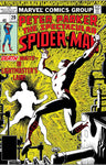 SPECTACULAR SPIDER-MAN #020