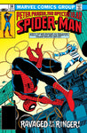 SPECTACULAR SPIDER-MAN #058B