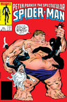 SPECTACULAR SPIDER-MAN #091B