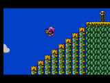 Psycho Fox (Sega Master System)