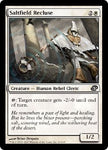 Reclusa de Saltfield [Caos planar]