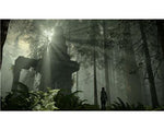 Shadow of the Colossus (PS4)