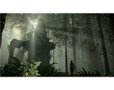 Shadow of the Colossus (PS4)