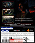 Uncharted: The Lost Legacy (PS4)